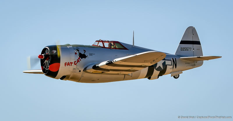 chad-costamire-s-1-4-scale-p-47-thunderbolt